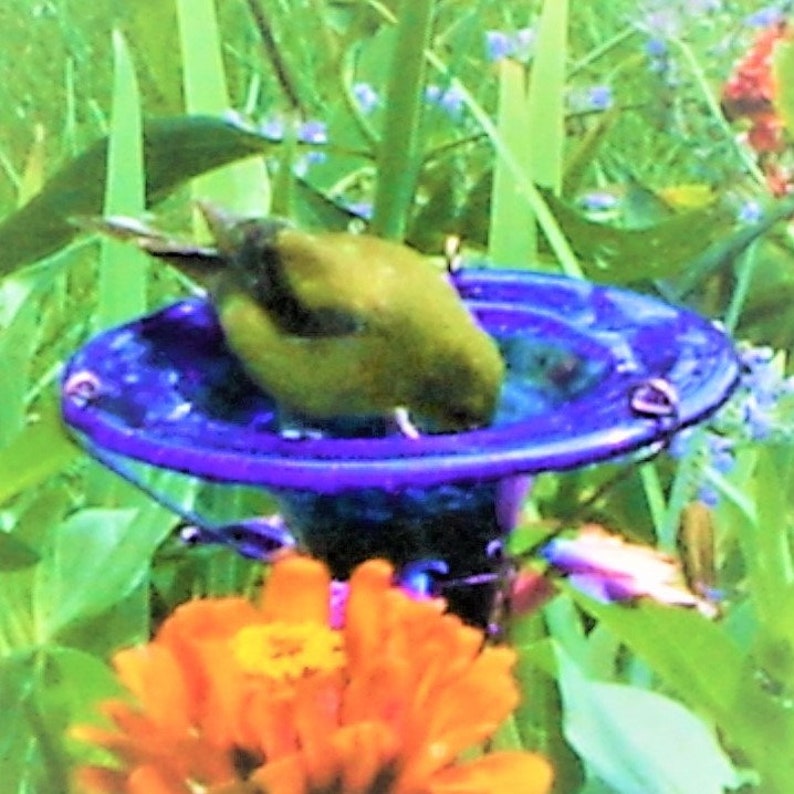 Chartreuse Green Glass, BIRD and BUTTERFLY Feeder, Staked, Copper Accents, Outdoor Decor, Garden Gift image 6