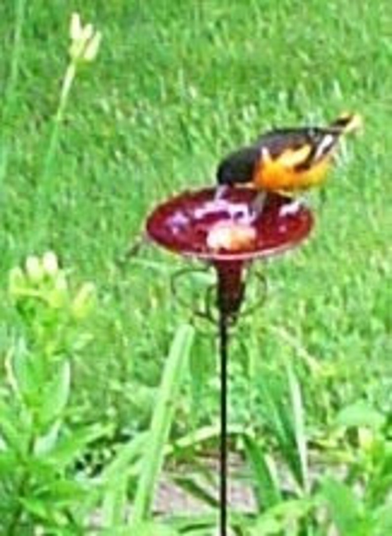BIRD FEEDER for Hummingbirds and Orioles GLASS Decor for the | Etsy