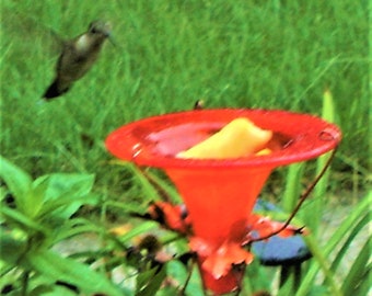 Feed the Birds in Style!  Coral Orange Glass HUMMINGBIRD and ORIOLE FEEDER, stained glass, Copper Garden, Garden Stake