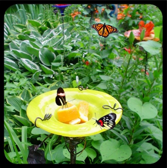 Container Gardening Butterfly Feeder Stained Glass Etsy
