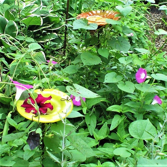 Container Gardening Butterfly Feeder Stained Glass Etsy