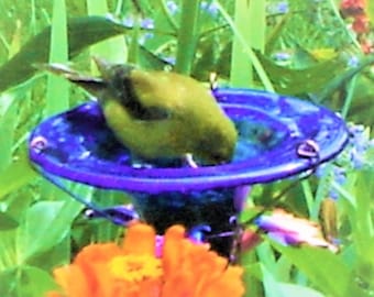 UNISEX Garden Gift, Blue BIRD and BUTTERFLY Feeder, Fused Stained Glass and Copper, Gifts Under 50, Christmas or Birthday  Gift