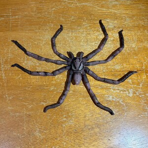 thumbnail image 2 of 3 Large Fake Spiders - 5" Halloween Decorations - Scary Prank Props, Black 2 of 3