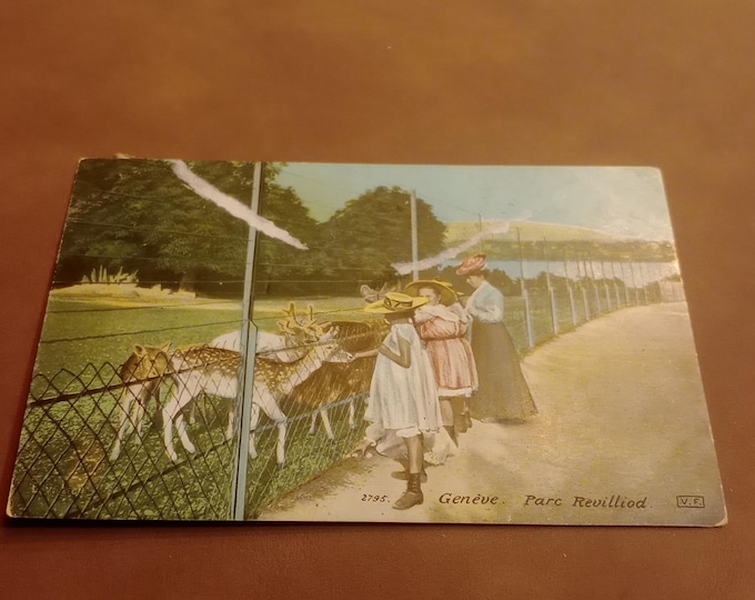 Original vintage postcard Geneva – Parc Revilliod, historical postcard, Switzerland, park landscape, city view, souvenir, collector's card