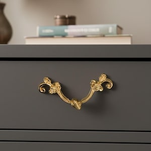 May include: Close-up of a gold-colored drawer pull with an ornate, floral design. The pull is mounted on a dark gray drawer. The drawer is part of a larger piece of furniture, with books and a lamp visible in the background.