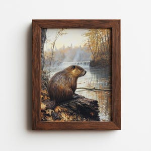 May include: A framed art print depicting a beaver on a log by a river, with a waterfall and autumnal trees in the background. The painting highlights the beaver's brown fur and the natural environment. The frame is a dark brown colour.