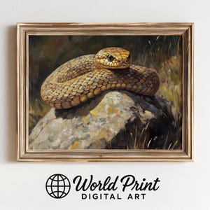 Peut inclure: Impression encadrée d'un serpent enroulé sur un rocher. Le serpent présente un motif brun et beige, avec une tête jaune et des yeux foncés. L'œuvre est placée sur un fond d'herbe et de feuillage. Le texte "World Print DIGITAL ART" est en bas.