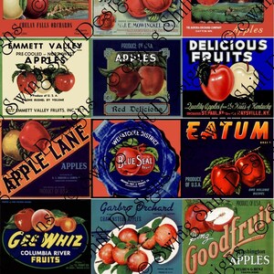 Vintage Apple Labels Collage Sheet Teacher Appreciation Gift Doctor Gift Digital Download JPG file by Swing Shift Designs image 2
