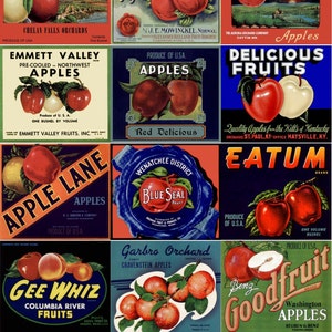 Vintage Apple Labels Collage Sheet Teacher Appreciation Gift Doctor Gift Digital Download JPG file by Swing Shift Designs image 1
