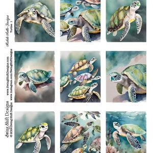 May include: Nine watercolour paintings of sea turtles in various poses and settings. The turtles are green, brown, and yellow with black accents. Some turtles are swimming, while others are resting on the ocean floor. The paintings are set against a background of blue and green water.