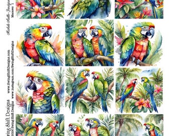 Macaw Birds, Adorable Tropical Macaws, Square Shaped Watercolor Style, Vivid Colors, Colorful Flowers, Printable Digital Collage Sheet JPG