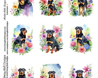 Adorable Rottweiler Dogs, Working Dogs, v1 Watercolor Style Vivid Flowers Dogs Puppy Printable Digital Collage Sheet, Animal Lovers