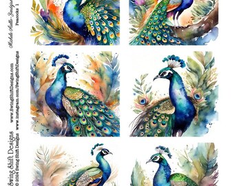 Peacock Birds, Beautiful Peacocks, Square Shaped Watercolor Style, Vivid Colors, Colorful Feathers, Printable Digital Collage Sheet JPG