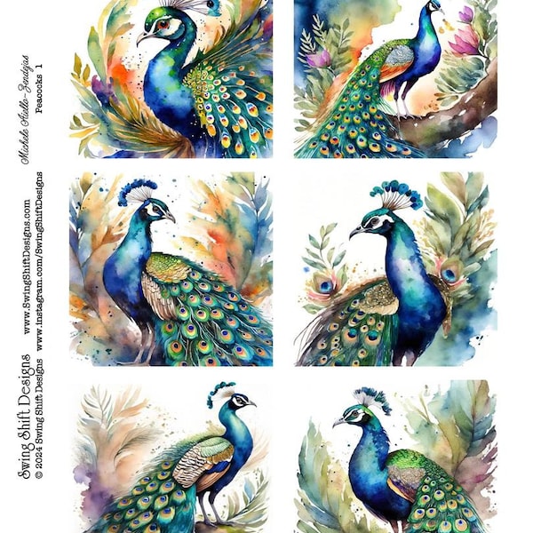 Peacock Birds, Beautiful Peacocks, Square Shaped Watercolor Style, Vivid Colors, Colorful Feathers, Printable Digital Collage Sheet JPG