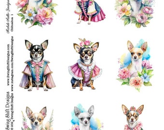 Adorable Chihuahua Dog with Flowers & clothes Watercolor Style Vivid Colorful Dogs Puppy Floral Printable Digital Collage Sheet Cute Puppies