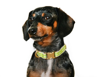 Sale, Neon Chartreuse Adjustable 1/2" wide dog collar: Size Small Arrowhead Print