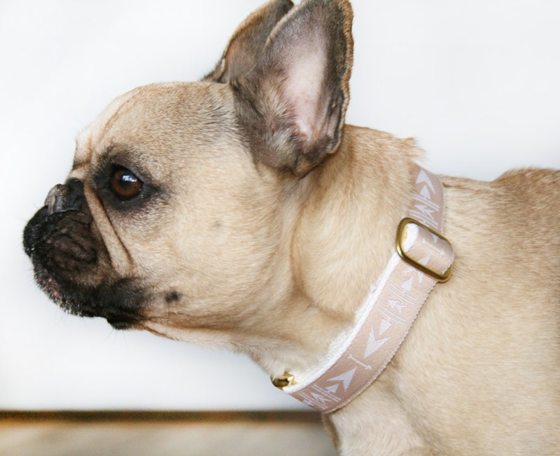 Light brown arrow dog collar, adjustable 1 wide, geometric design, cotton webbing, brass buckle, navajo inspired image 2