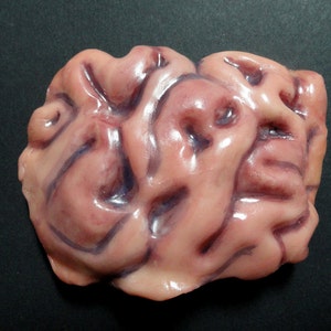 Brain hair clip