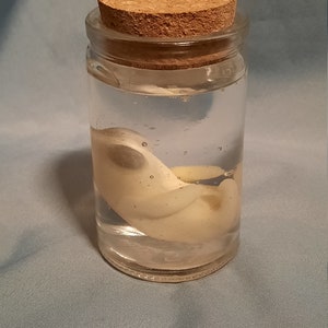 Alien Fetus in a jar image 2