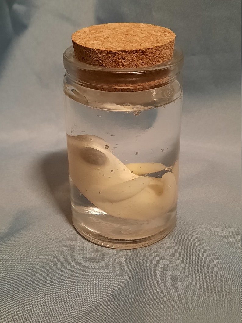 Alien Fetus in a jar image 2