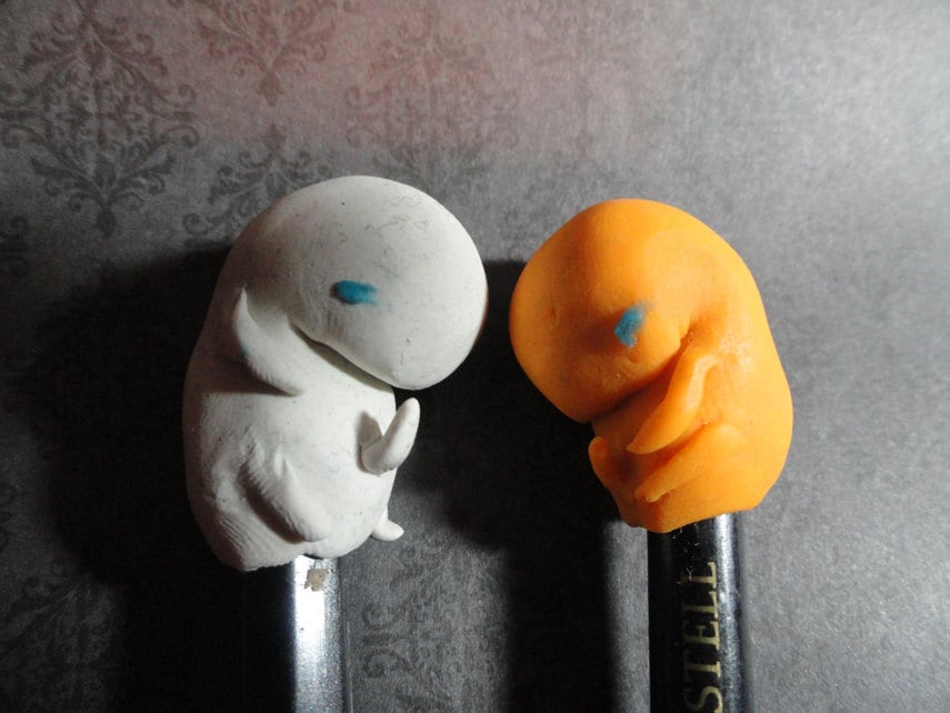 Fetus erasers
