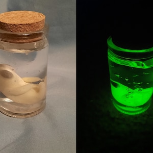 Alien Fetus in a jar