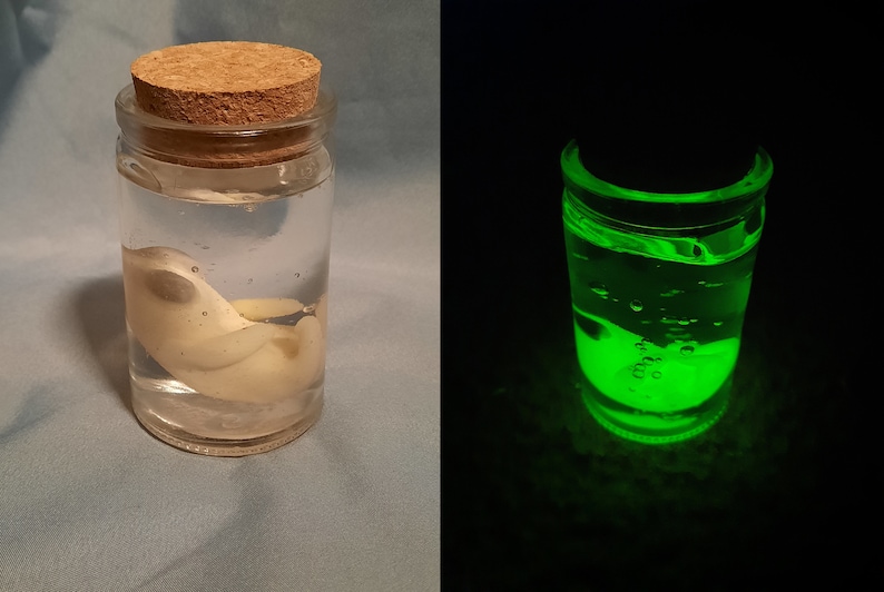 Alien Fetus in a jar image 1