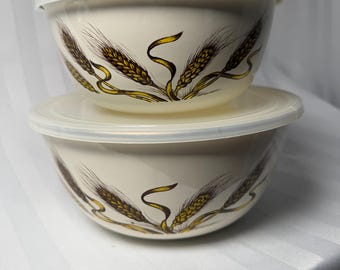 Set of two enamel mixing bowls with lids