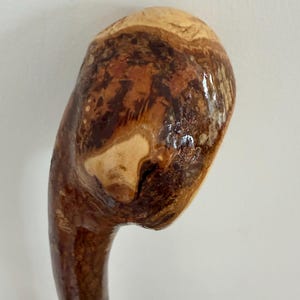 May include: A wooden walking stick with a curved handle. The handle is light tan with dark brown and reddish-brown patterns. The shaft is a darker brown with a glossy finish. The wood grain is visible. A traditional aid for walking.