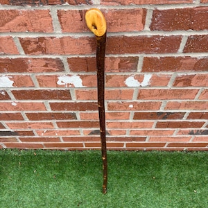 Könnte beinhalten: Ein handgefertigter Wanderstock mit einem gebogenen, hellfarbigen Griff und einem dunkelbraunen Schaft. Der Wanderstock ist aus Holz gefertigt und steht aufrecht vor einer Backsteinmauer und grünem Gras.