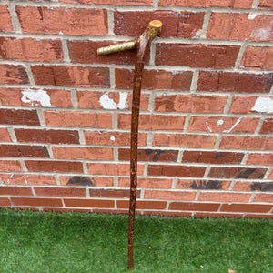 May include: A handcrafted walking stick made from natural wood. The stick features a curved handle and a sturdy, textured shaft. The wood has a rich, brown color with lighter accents. The handle is a lighter shade of brown. The walking stick is standing on green grass.