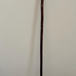 May include: A dark brown walking stick made from a single piece of wood. The top is split into a Y-shape, and the bottom has a brass-coloured tip. The stick is leaning against a white wall.