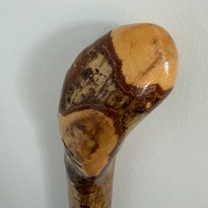 May include: A wooden walking stick with a curved handle. The handle is light tan with dark brown wood grain patterns. The shaft of the stick is a darker brown colour.