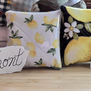 May include: Two small, square fabric pillows. One pillow has a white background with yellow lemons and green leaves. The other pillow has a black background with yellow lemons, white flowers, and green leaves. The word "Front" is written on a piece of paper in front of the first pillow, and the word "Back" is written on a piece of paper in front of the second pillow.