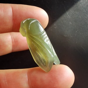 Ciondolo di cicala in giada intagliato a mano: amuleto in pietra naturale verde Xiuyu