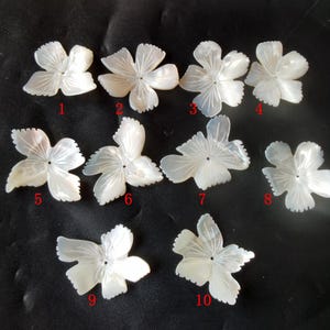 May include: Ten white mother of pearl flower shaped embellishments with a hole in the center. The embellishments are numbered 1 through 10.