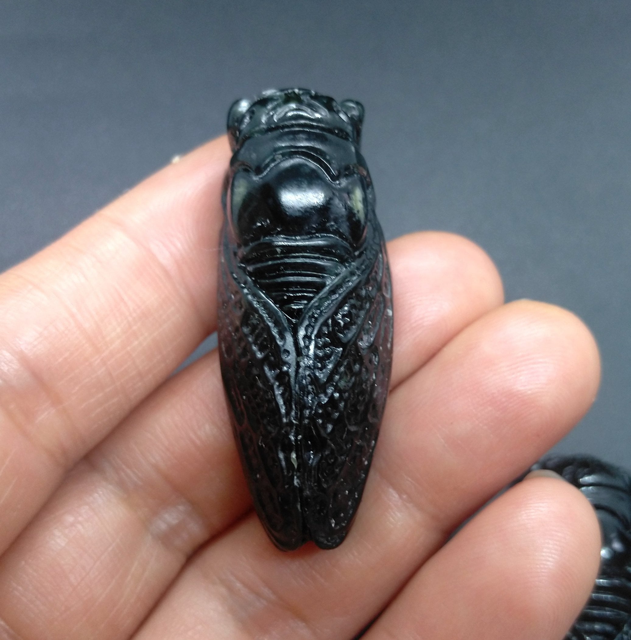 Natural Jade Agate Stone Crystal Carved Cicada Healing Gemstone Pendant WKSPSJ