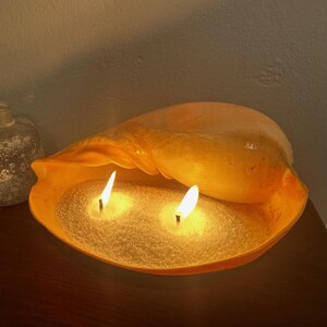 Crowned Baler Shell Candle | Refillable Pearl Sand Wax, Beach Decor