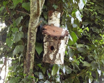 Hand-made natural white birch wood nest box