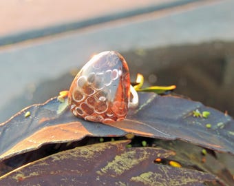 Bague en argent 925 ajustable Agate fossile ou Turritelle 24/27mm