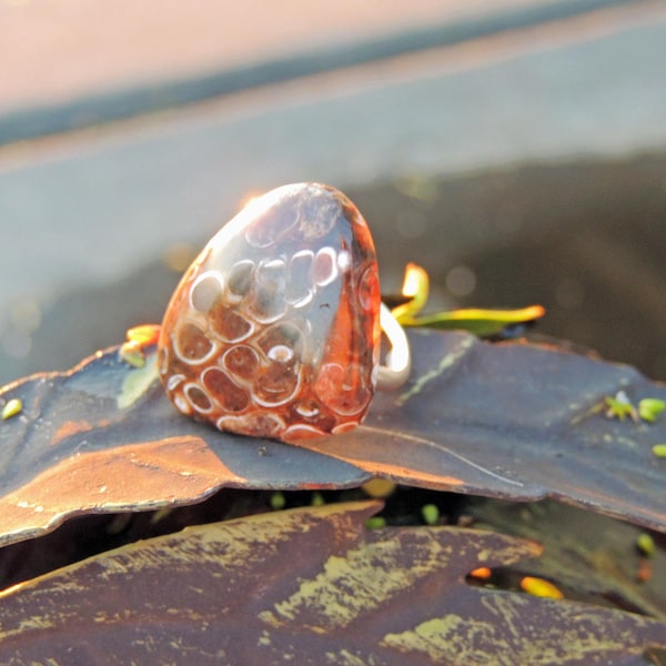 Bague en argent 925 ajustable Agate fossile ou Turritelle 24/27mm