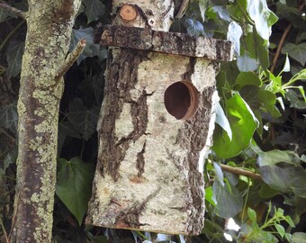 Natural nest box for birds in raw white birch, for woodpeckers, starlings, etc.