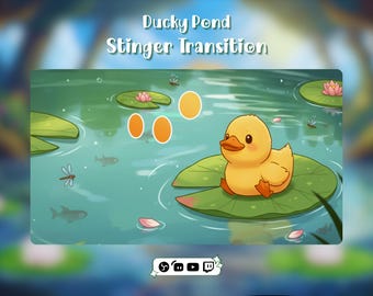 Transizioni di anatra per Twitch, Obs, Streamlabs, Youtube ... - Transizione di flusso animata Ducky Pond