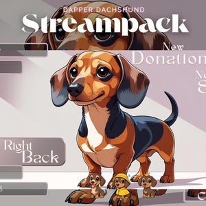 Peut inclure: Illustration de teckel de dessin animé avec une fourrure marron, noire et fauve, faisant partie d'un design "Streampack". L'image comprend des éléments textuels tels que "New Donation" et "Be Right Back", ainsi que de petites illustrations de teckels.