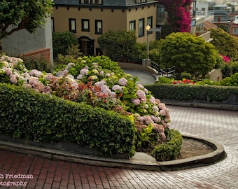 Lombard Street San Francisco Photograph Brick Road Flowers Crookedest Street San Francisco Landmark Photography Print Architecture