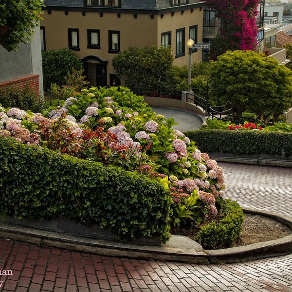 Lombard Street San Francisco Photograph Brick Road Flowers Crookedest Street San Francisco Landmark Photography Print Architecture