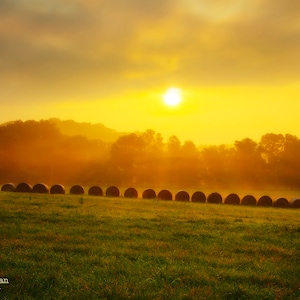 May include: A field of hay bales lined up in a row, with a golden sunrise in the background. The hay bales are brown and round, and the field is green. The sun is shining brightly, and the sky is a light blue.
