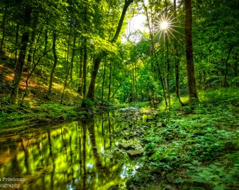 Cuttalossa Creek Sunrise Landscape Photograph Reflection Sunburst Nature Photography Solebury Bucks County Pennsylvania Trees Forest Print