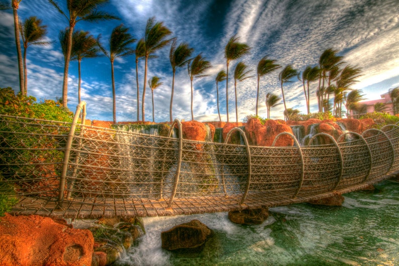 Atlantis Rope Bridge and Palm Trees Travel Photography Etsy
