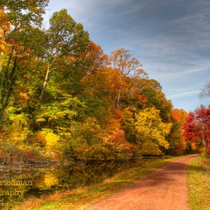 Bucks County in Autumn Print Set, Fine Art Photography, Landscape Photograph, Fall Foliage, Autumn Color, Wall Art, Pennsylvania, Gift Set image 3